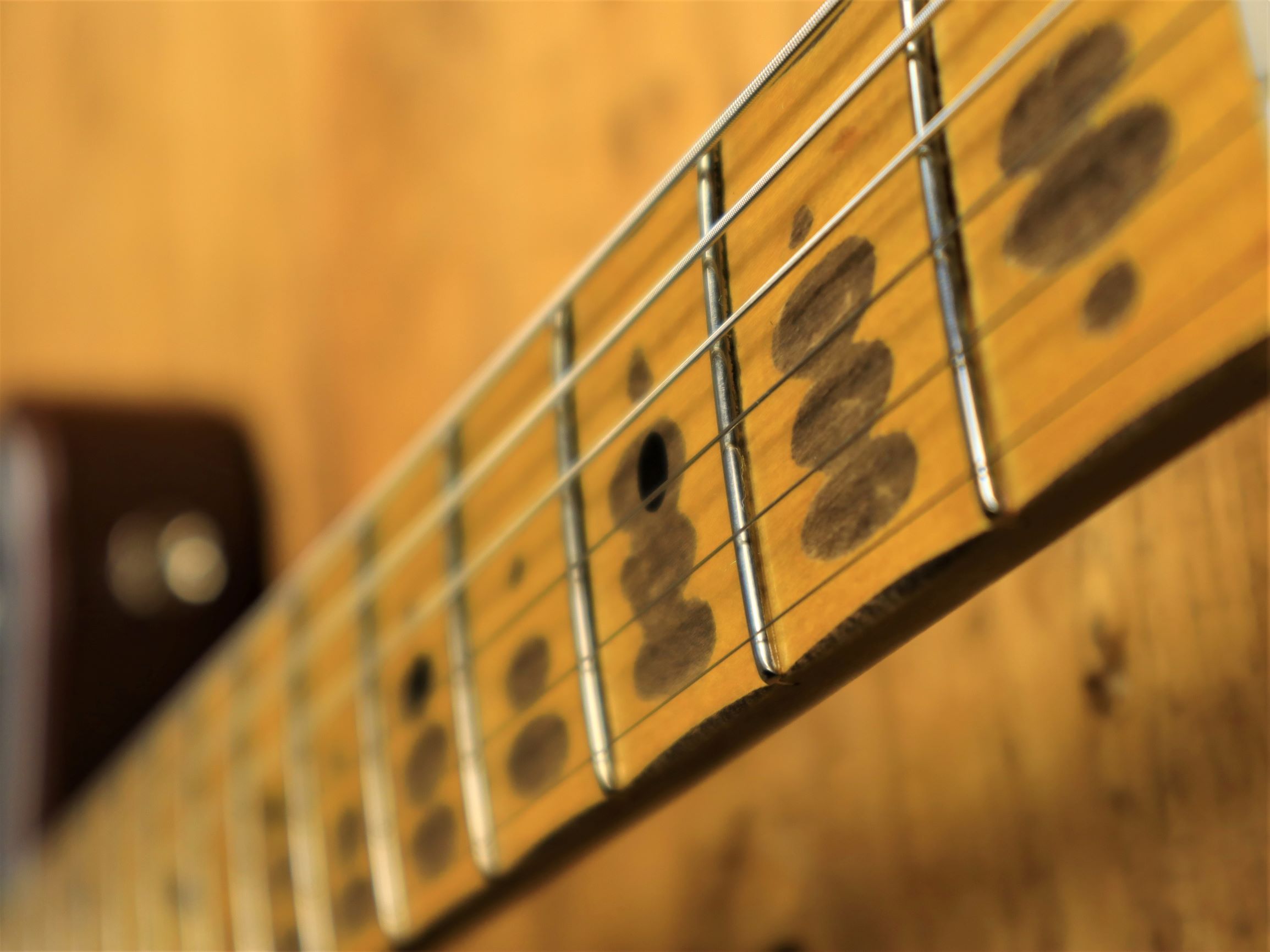 20210617205518_IMG_3765