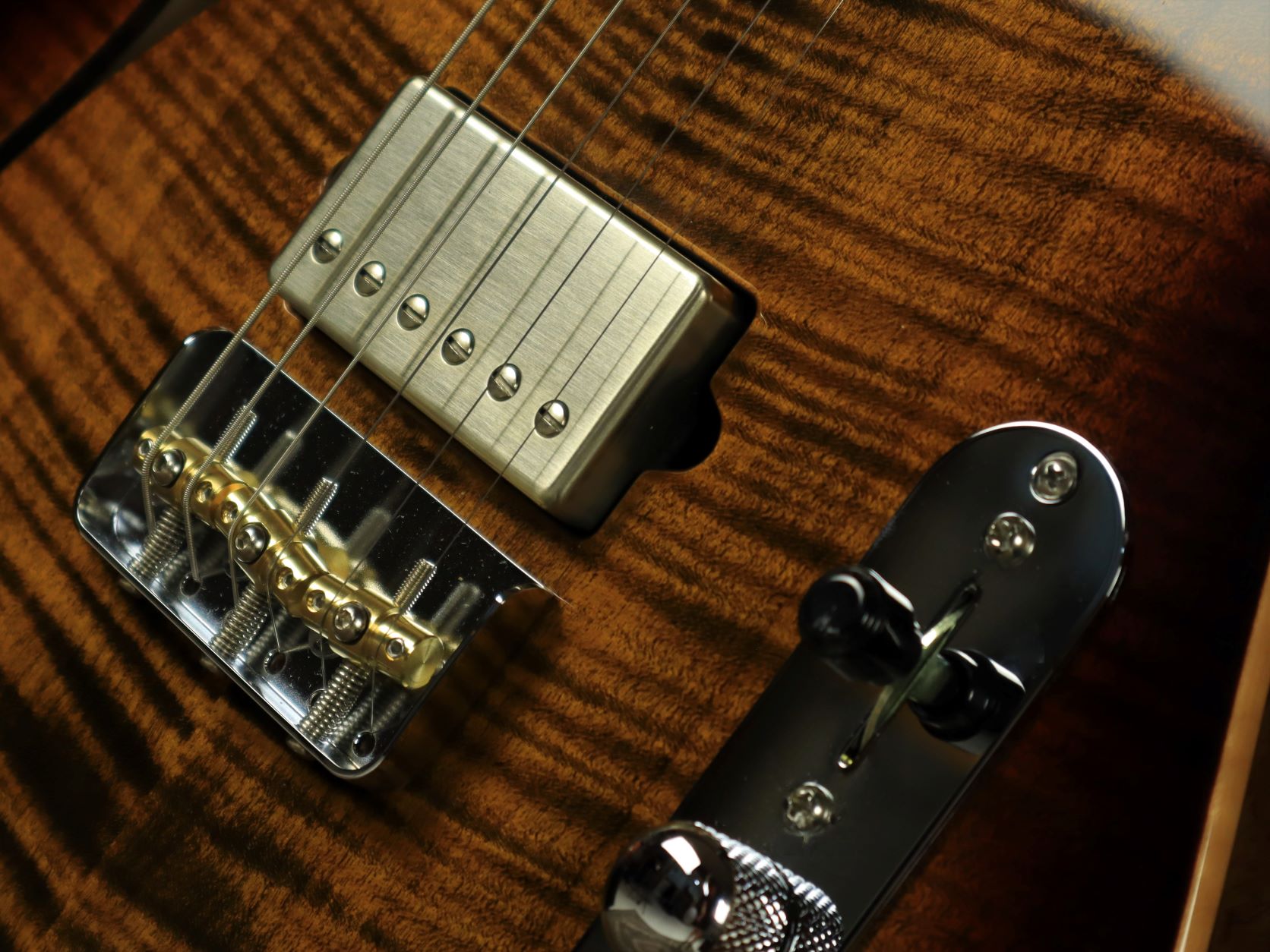 Alt T Bengal Close 2