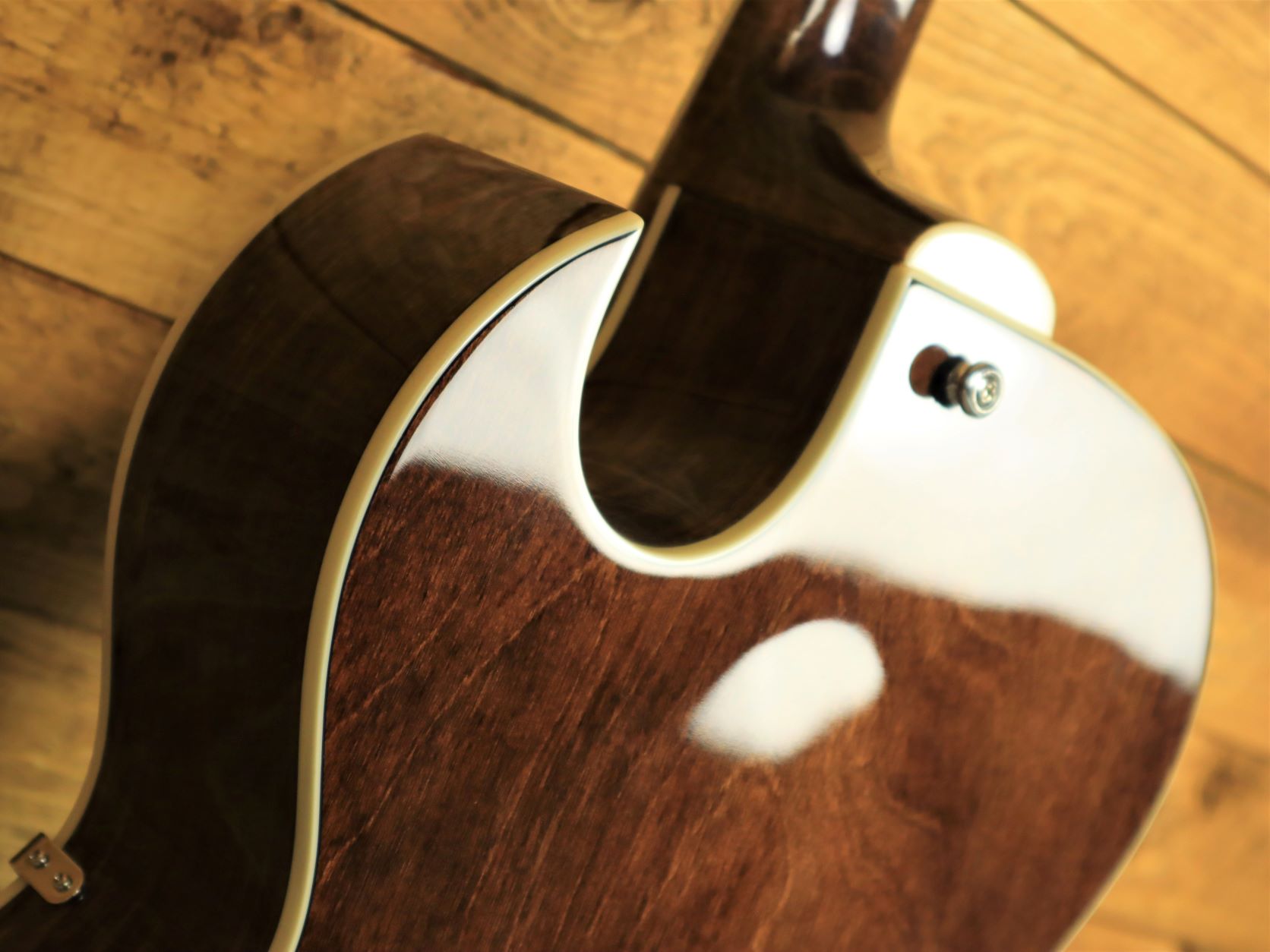 20220818154704_IMG_6872